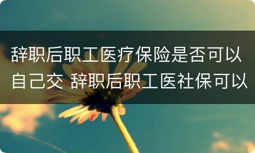 辞职后职工医疗保险是否可以自己交 辞职后职工医社保可以自己交吗