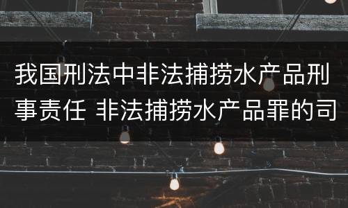 我国刑法中非法捕捞水产品刑事责任 非法捕捞水产品罪的司法解释