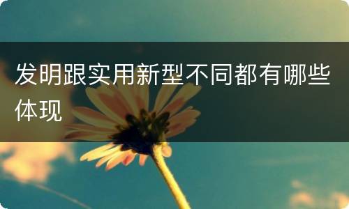 发明跟实用新型不同都有哪些体现