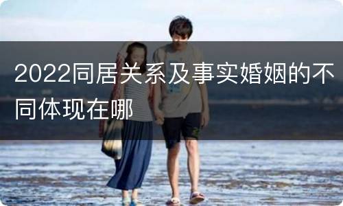 2022同居关系及事实婚姻的不同体现在哪