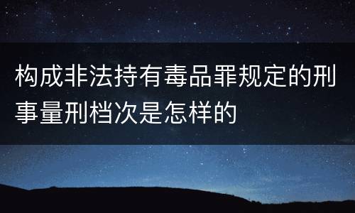 构成非法持有毒品罪规定的刑事量刑档次是怎样的
