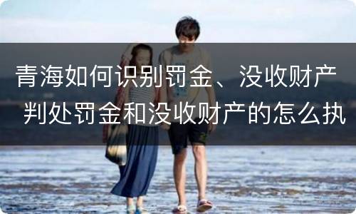 青海如何识别罚金、没收财产 判处罚金和没收财产的怎么执行