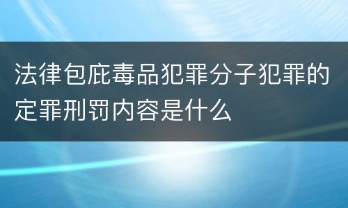 法律包庇毒品犯罪分子犯罪的定罪刑罚内容是什么