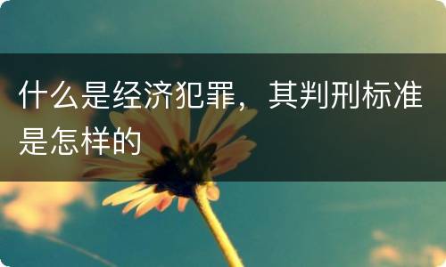 什么是经济犯罪，其判刑标准是怎样的