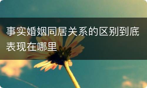 事实婚姻同居关系的区别到底表现在哪里