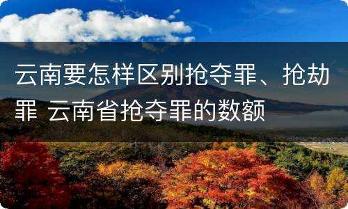 云南要怎样区别抢夺罪、抢劫罪 云南省抢夺罪的数额