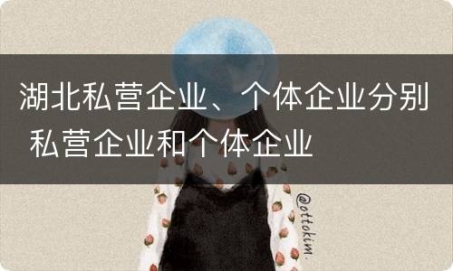 湖北私营企业、个体企业分别 私营企业和个体企业