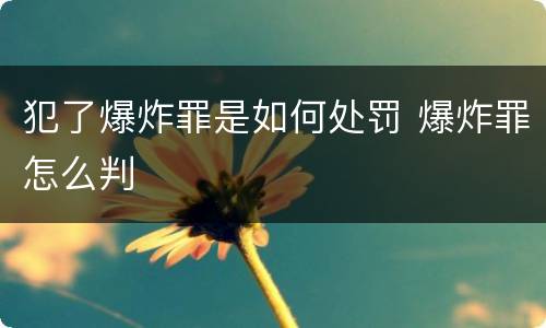 犯了爆炸罪是如何处罚 爆炸罪怎么判