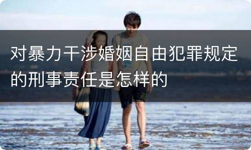 对暴力干涉婚姻自由犯罪规定的刑事责任是怎样的