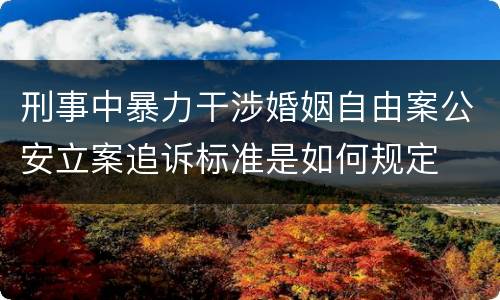刑事中暴力干涉婚姻自由案公安立案追诉标准是如何规定