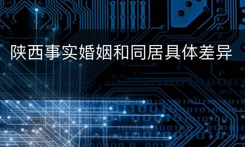 陕西事实婚姻和同居具体差异