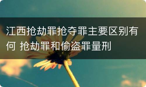 江西抢劫罪抢夺罪主要区别有何 抢劫罪和偷盗罪量刑