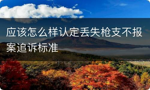 应该怎么样认定丢失枪支不报案追诉标准