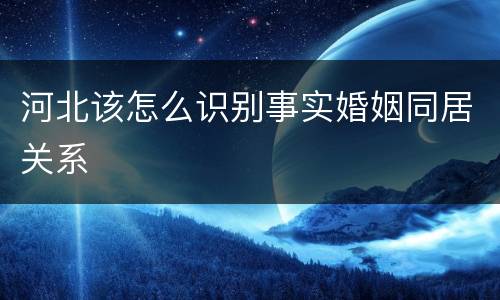 河北该怎么识别事实婚姻同居关系