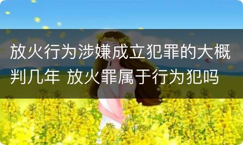 放火行为涉嫌成立犯罪的大概判几年 放火罪属于行为犯吗