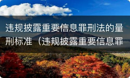 违规披露重要信息罪刑法的量刑标准（违规披露重要信息罪刑法的量刑标准是什么）