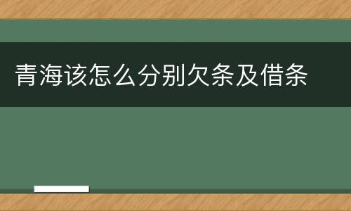 青海该怎么分别欠条及借条