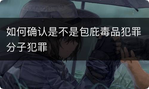 如何确认是不是包庇毒品犯罪分子犯罪