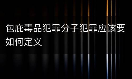 包庇毒品犯罪分子犯罪应该要如何定义