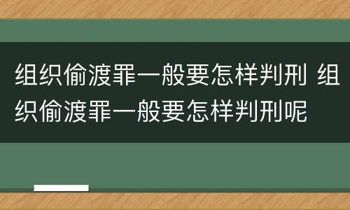 组织偷渡罪一般要怎样判刑 组织偷渡罪一般要怎样判刑呢