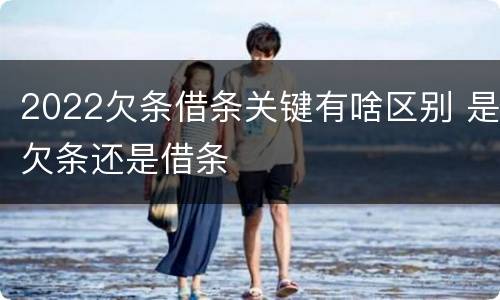 2022欠条借条关键有啥区别 是欠条还是借条