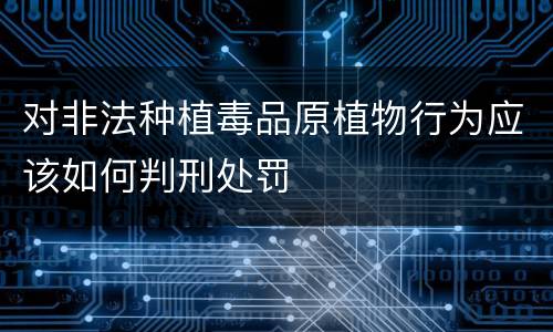 对非法种植毒品原植物行为应该如何判刑处罚