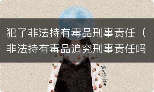 犯了非法持有毒品刑事责任（非法持有毒品追究刑事责任吗）