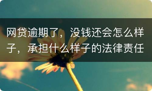网贷逾期了，没钱还会怎么样子，承担什么样子的法律责任