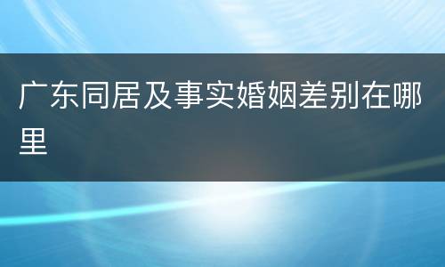 广东同居及事实婚姻差别在哪里