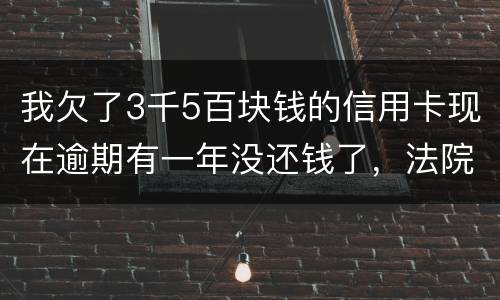 我欠了3千5百块钱的信用卡现在逾期有一年没还钱了，法院起诉我了要我还2万4千多，