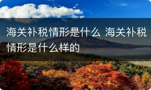 海关补税情形是什么 海关补税情形是什么样的