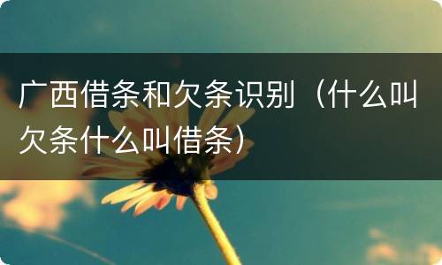 广西借条和欠条识别（什么叫欠条什么叫借条）