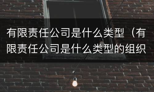 有限责任公司是什么类型（有限责任公司是什么类型的组织）