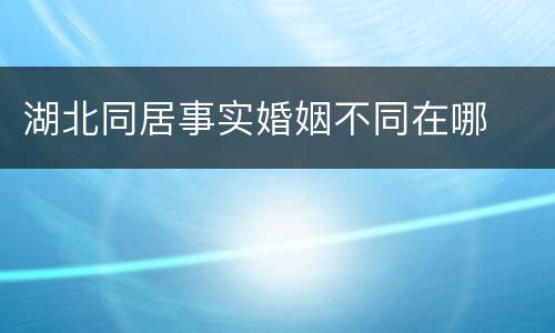 湖北同居事实婚姻不同在哪