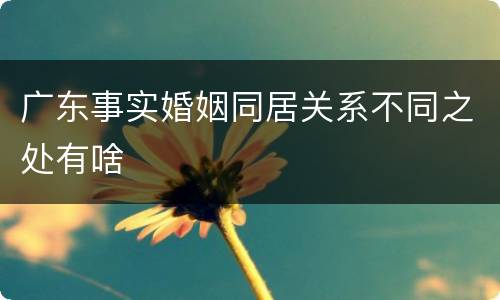 广东事实婚姻同居关系不同之处有啥