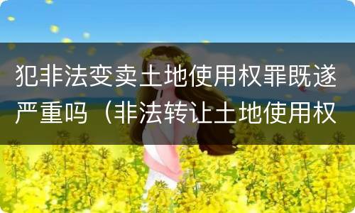 犯非法变卖土地使用权罪既遂严重吗（非法转让土地使用权罪情节严重）