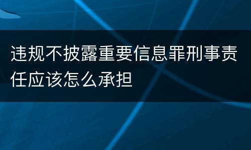 违规不披露重要信息罪刑事责任应该怎么承担