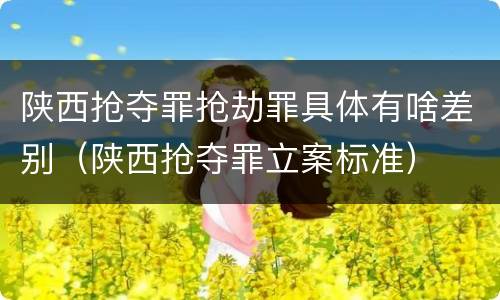 陕西抢夺罪抢劫罪具体有啥差别（陕西抢夺罪立案标准）
