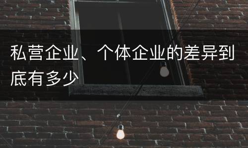 私营企业、个体企业的差异到底有多少