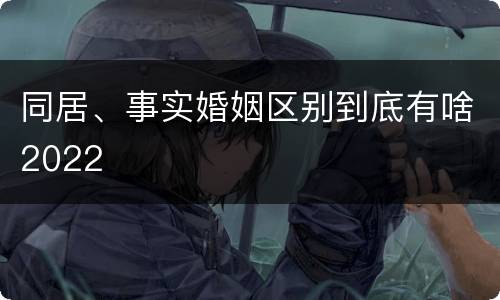 同居、事实婚姻区别到底有啥2022