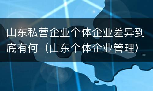 山东私营企业个体企业差异到底有何（山东个体企业管理）