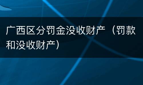 广西区分罚金没收财产（罚款和没收财产）
