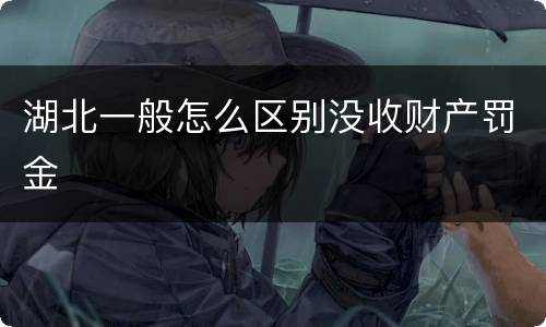 湖北一般怎么区别没收财产罚金