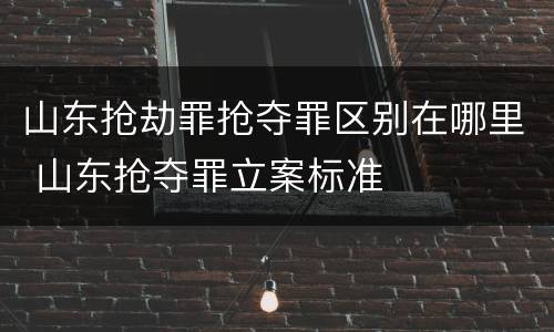 山东抢劫罪抢夺罪区别在哪里 山东抢夺罪立案标准