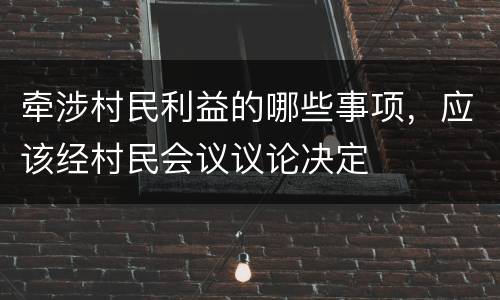 牵涉村民利益的哪些事项，应该经村民会议议论决定
