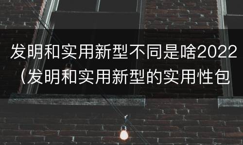 发明和实用新型不同是啥2022（发明和实用新型的实用性包括）