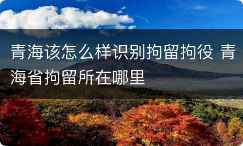 青海该怎么样识别拘留拘役 青海省拘留所在哪里