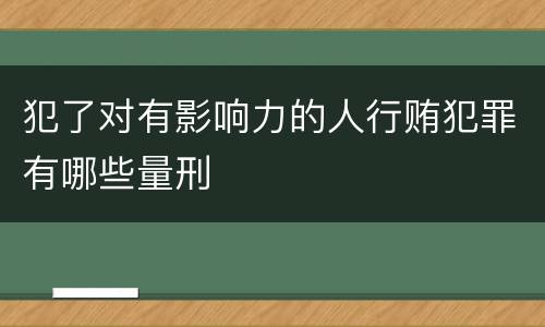 犯了对有影响力的人行贿犯罪有哪些量刑
