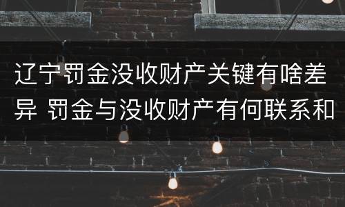辽宁罚金没收财产关键有啥差异 罚金与没收财产有何联系和区别?