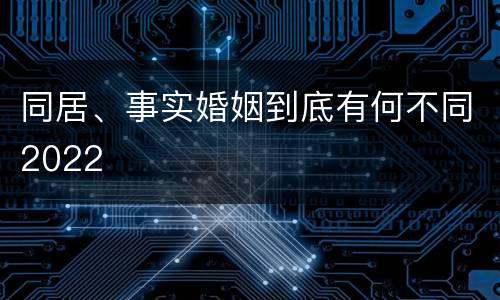 同居、事实婚姻到底有何不同2022